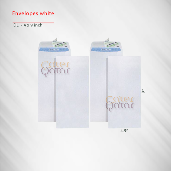 Envelope white DL 4x9