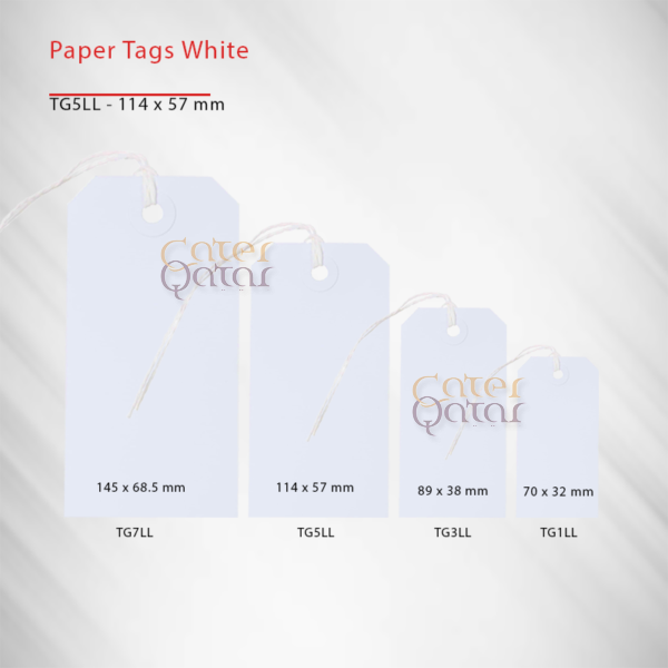Paper tag white TG5LL