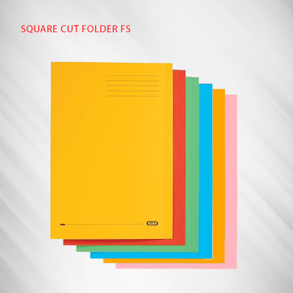 square cut folder Qatar