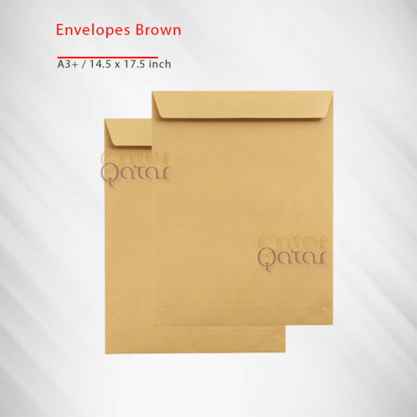 envelope brown 14.5X17.5