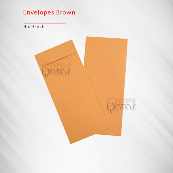 envelope brown 4X9 SO