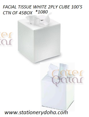 Whisper Facial Tissue Cube – Bidfood Catering Supplies