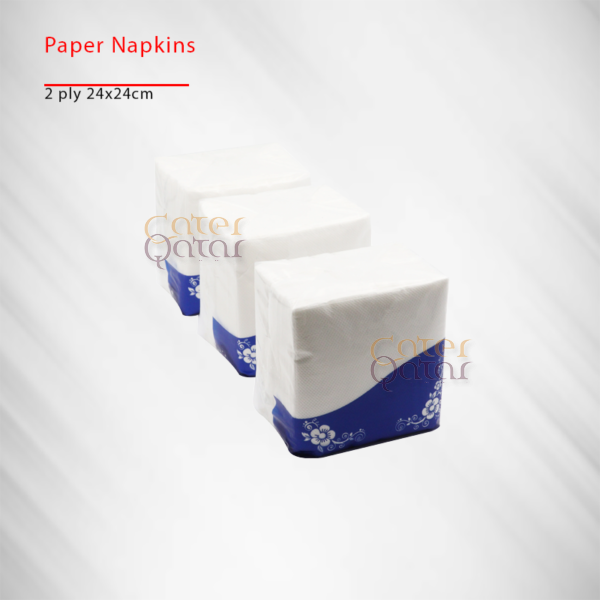paper napkin 24x24