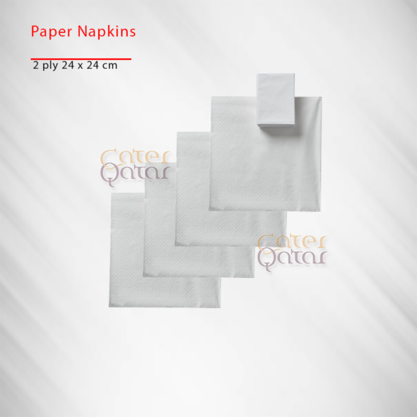 paper napkin 24x24cm