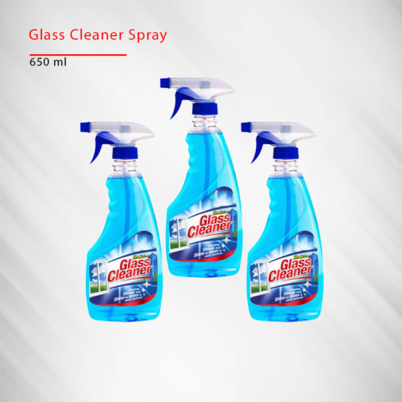 glass cleaner 650ml